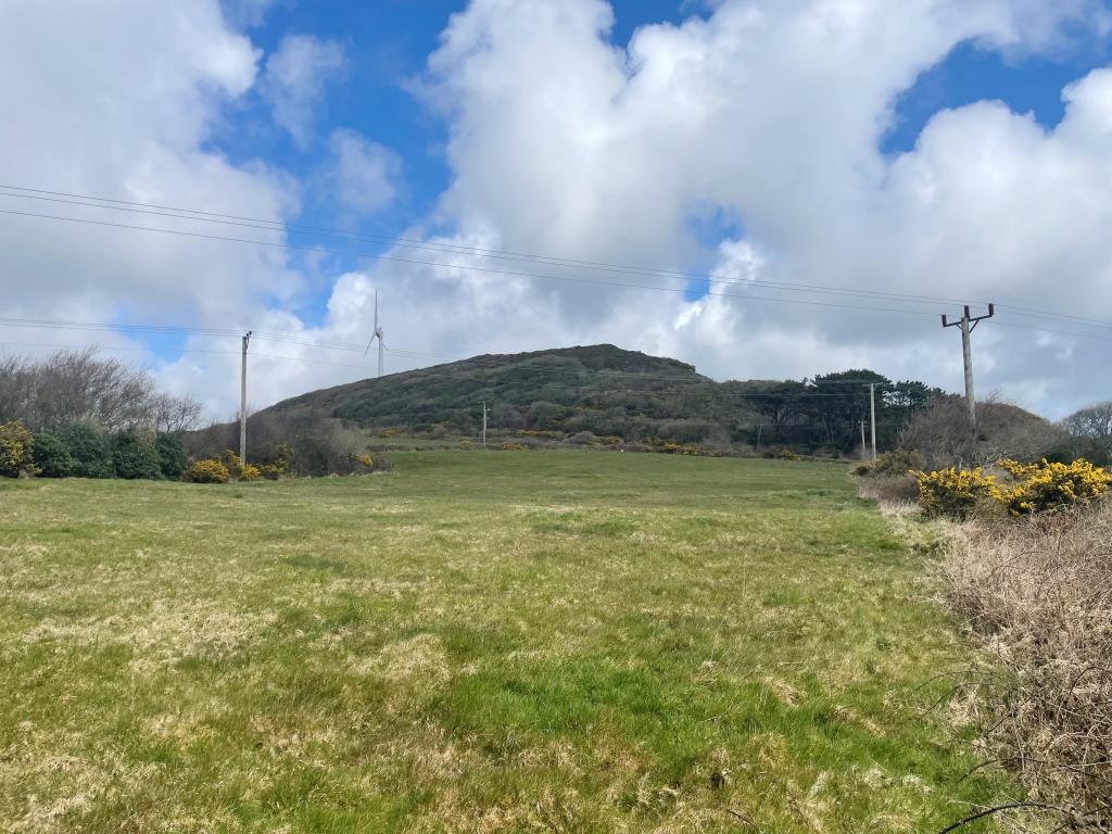 Lot: 129 - FREEHOLD LAND - View of land